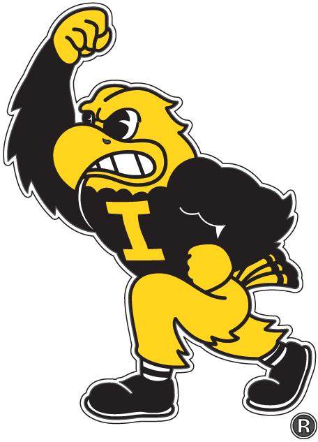 Iowa Hawkeyes 2002-Pres Mascot Logo t shirts iron on transfers